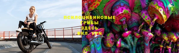 ешки Елабуга