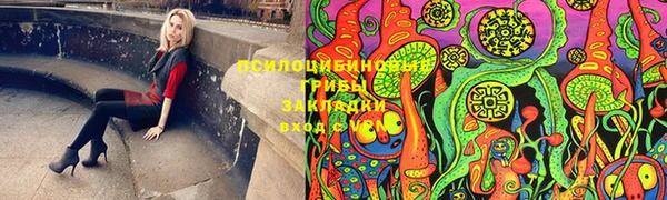 ешки Елабуга