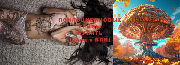 ешки Елабуга