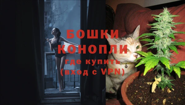ешки Елабуга